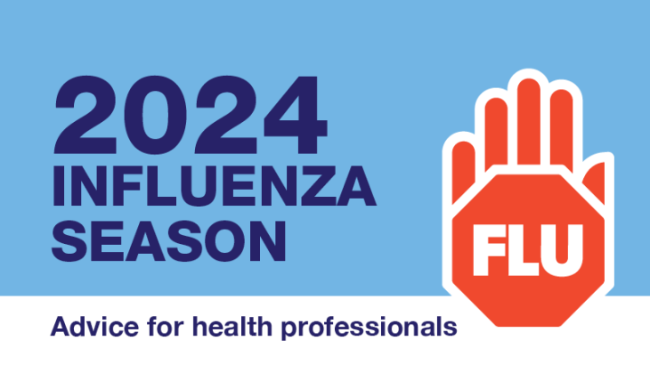 decorative image for the 2024 influenza season